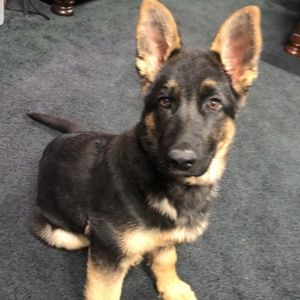 Meet your Posher, Mariah